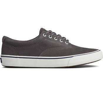 Sperry Striper Ii Cvo Washable Siva - Panske Tenisky